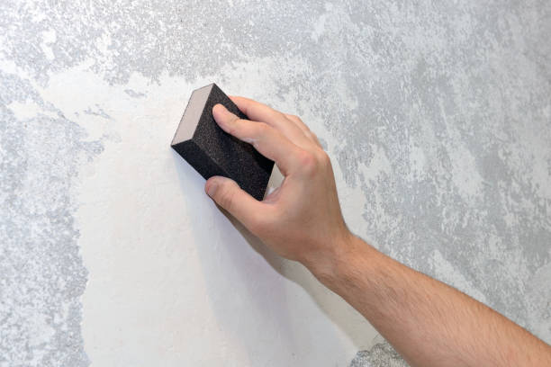  Johnstown, NY Mold Removal Pros
