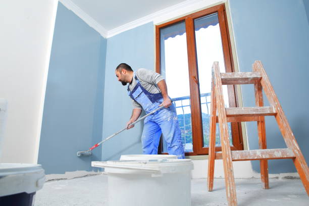 Best Black Mold Removal  in Johnstown, NY