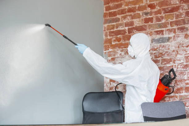 Best Post-Construction Mold Inspection  in Johnstown, NY