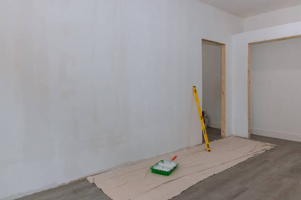 Mold Documentation for Insurance Claims in Johnstown, NY