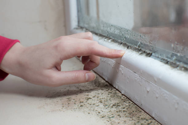 Best Post-Remediation Verification Testing  in Johnstown, NY